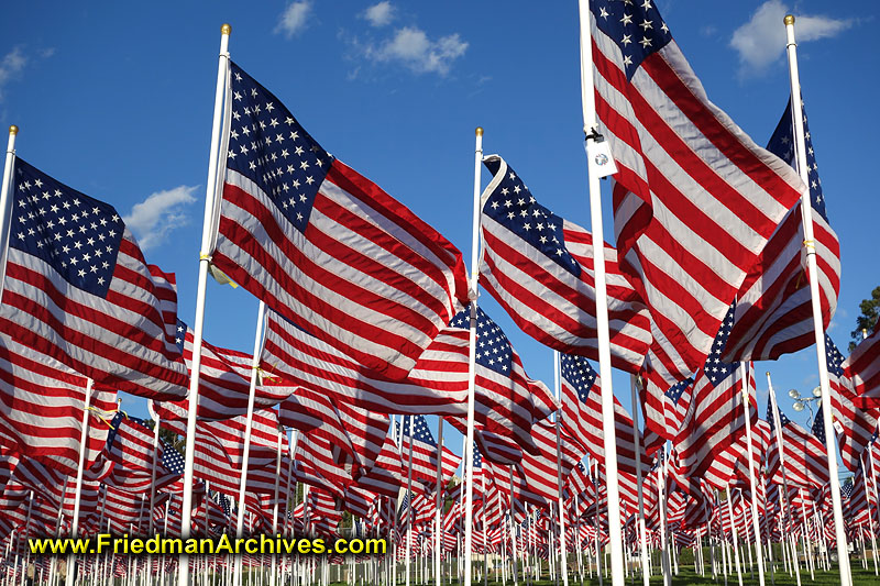 flag,american,patriotic,veterans day,country,america,USA,god bless america,
